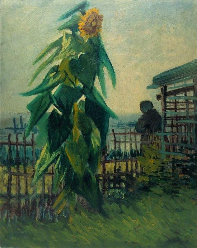 Vincent van Gogh "Schrebergarten mit Sonnenblume" 1887 523470